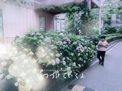 -灯塔咖啡馆BOOK·Coffee Shop