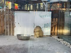 -廊坊固安福朋喜来登酒店