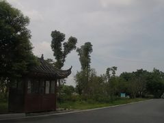 -八大山人梅湖景区