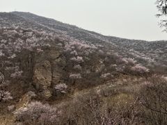 -妙峰山风景名胜区