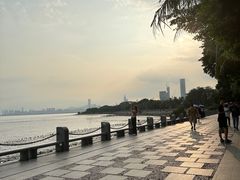 -深圳湾公园(南山区)
