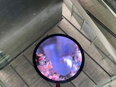 -知美术馆