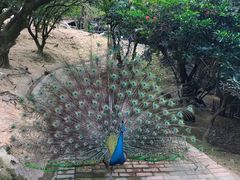 -泉州海丝野生动物世界