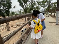 -太原动物园