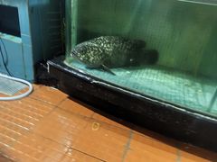 -淇沙湾渔村餐厅