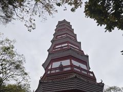 -分塔山省级森林公园