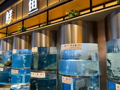 -老船舫·现做活鲜鱼馆(东郊记忆店)