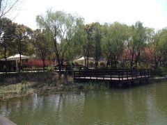 iphone_upload_pic-新江湾城公园