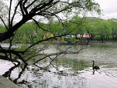 -石家庄市动物园