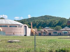 -哈尔滨北方森林动物园