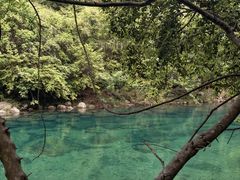 -石台牯牛降景区