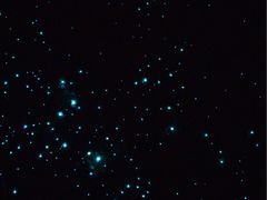 -怀托摩萤火虫洞