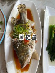 -弗蕾亚·辰月月子度假中心(光谷店)