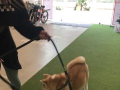 -YCHL Studios健身工作室(市二宫店)