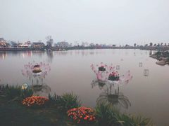 -荷兰花海