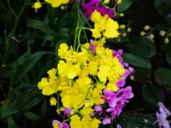 -北京植物园-展览温室