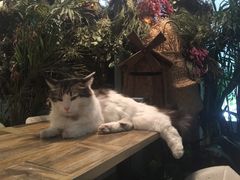 -小时光咖啡馆(北锣鼓巷店)