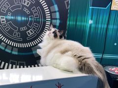 -零纪元VR体验馆·桌游(黄浦店)