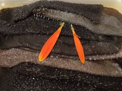 毛肚-海底捞火锅(高科广场店)