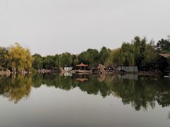 -西苑公园