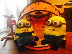 -上海崇明金茂凯悦酒店