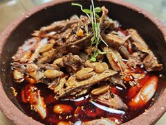 凉拌鸡-青城甲(青城山店)