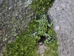-松花湖风景名胜区