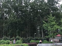 -仁和公园(顺义区)