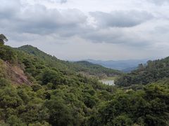 -广州白江湖森林公园