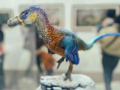 -自贡恐龙博物馆