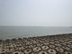 -野狸岛