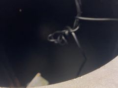 -宴全牛粤来越牛潮汕鲜牛肉火锅(海州万达广场店)