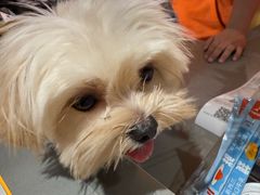 -MARSMART PETS火星宠物超市(1733店)