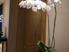-五缘湾凯悦酒店·悦饗中餐厅