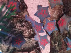 -沈阳海洋探索中心