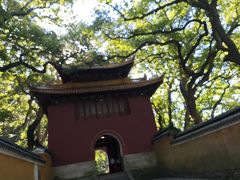 -普陀山风景名胜区-法雨禅寺