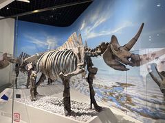 -国家自然博物馆