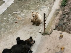 -哈尔滨北方森林动物园