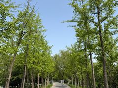 -石家庄市植物园