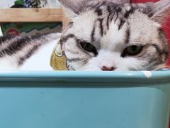 -小时光咖啡馆(开森度假森林店)