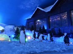 -世界之窗阿尔卑斯冰雪世界