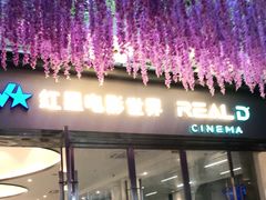 -红星电影世界开元地中海店(RealD杜比全景声)