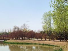 -东郊湿地公园