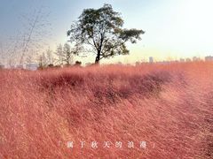 -汉长安城未央宫国家考古遗址公园