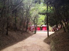 -函谷关历史文化旅游区