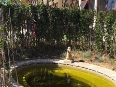 -大连金石滩绿发温泉假日酒店