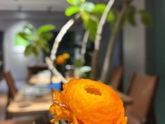 -一坐一忘云南菜(三里屯店)