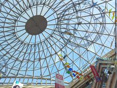 -高新活力汇Vitality