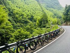 -GIANT捷安特自行车专卖店(金桥台儿庄路店)