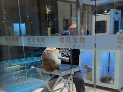 -悠尼宠物·独立低压伊珊娜洗护·美容·寄养(兰谷路店)